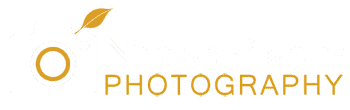 Nicolas Sage Photography